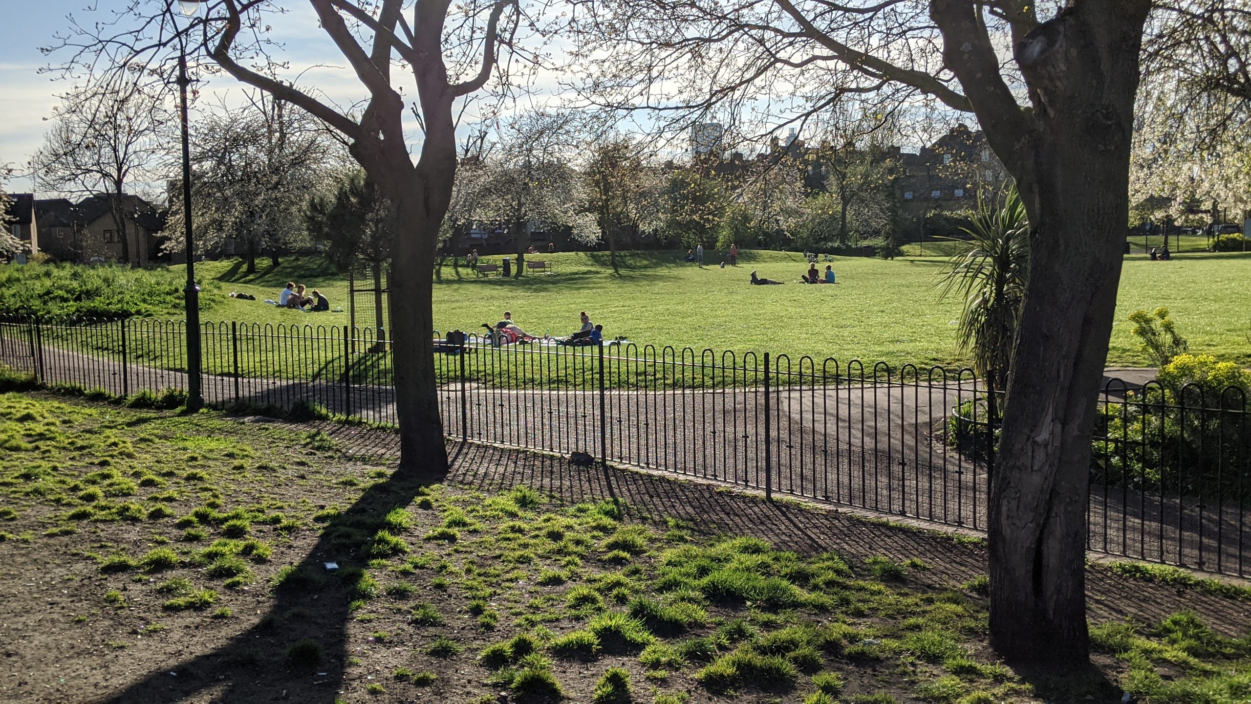Dog Attack, 22 September 2023