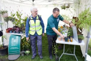 Peter amongst the greenery at WGF stall at World Day in October 2022